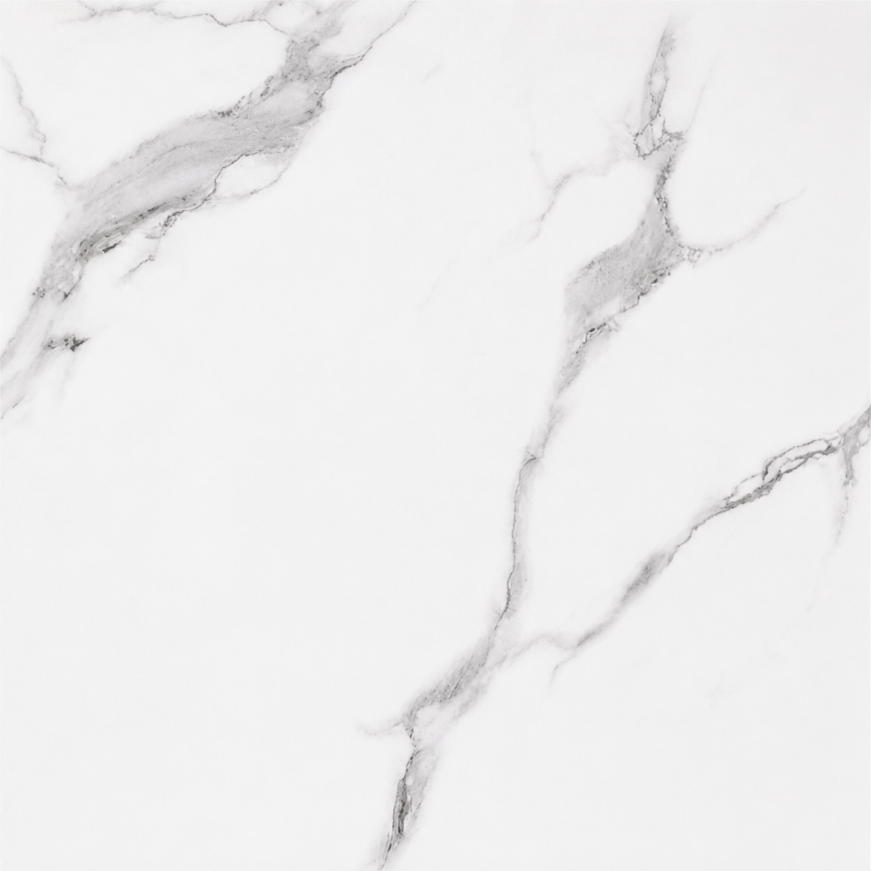 AVIGNON 50X50 ALASKA WHITE REC